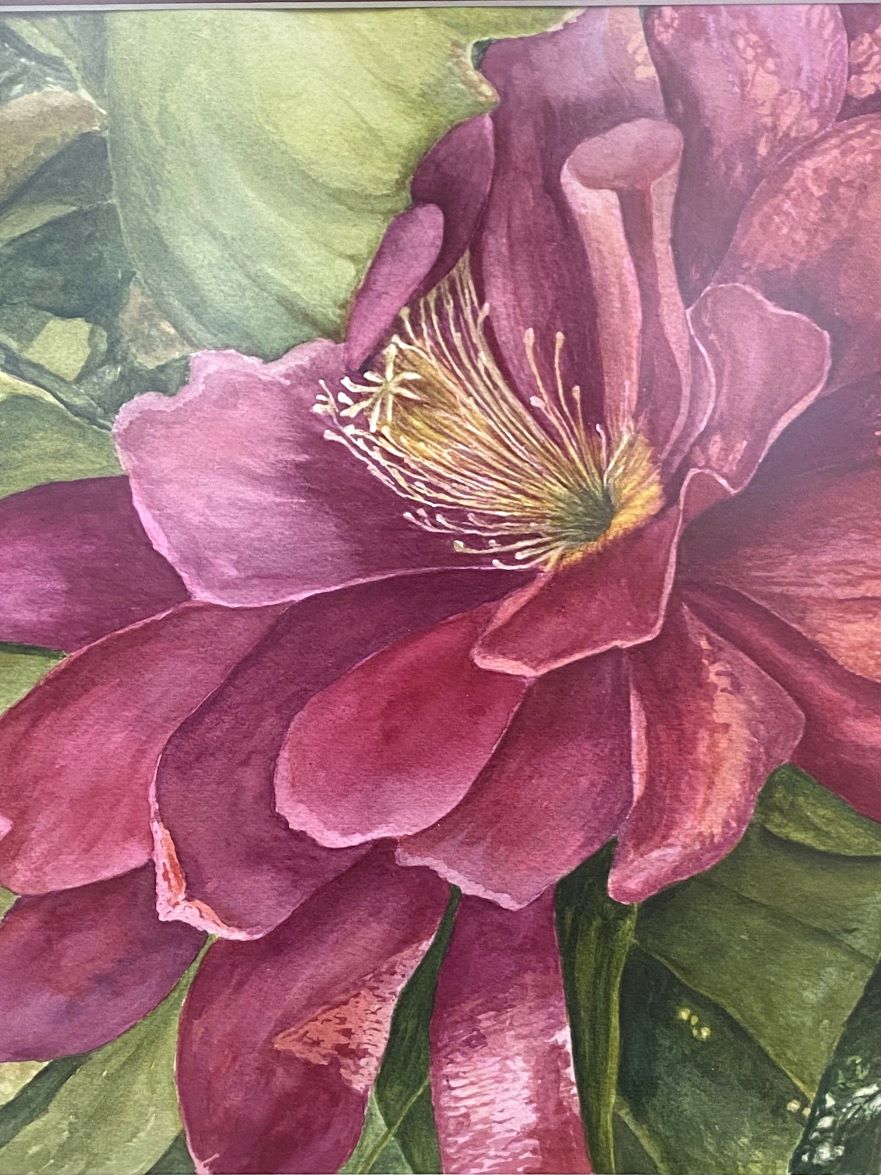 Watercolor painting of flower detail by Carol Hilleary at Gallery Eleven