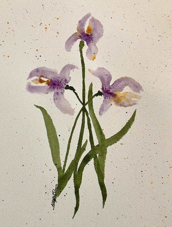 Watercolor Iris by Danielle Milam at Gallery Eleven in Charleston WV