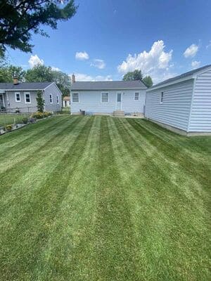 {{ custom_values.service_3 }} in {{custom_values.area_1})