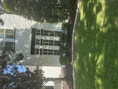 Cabinet Painting in Dallas