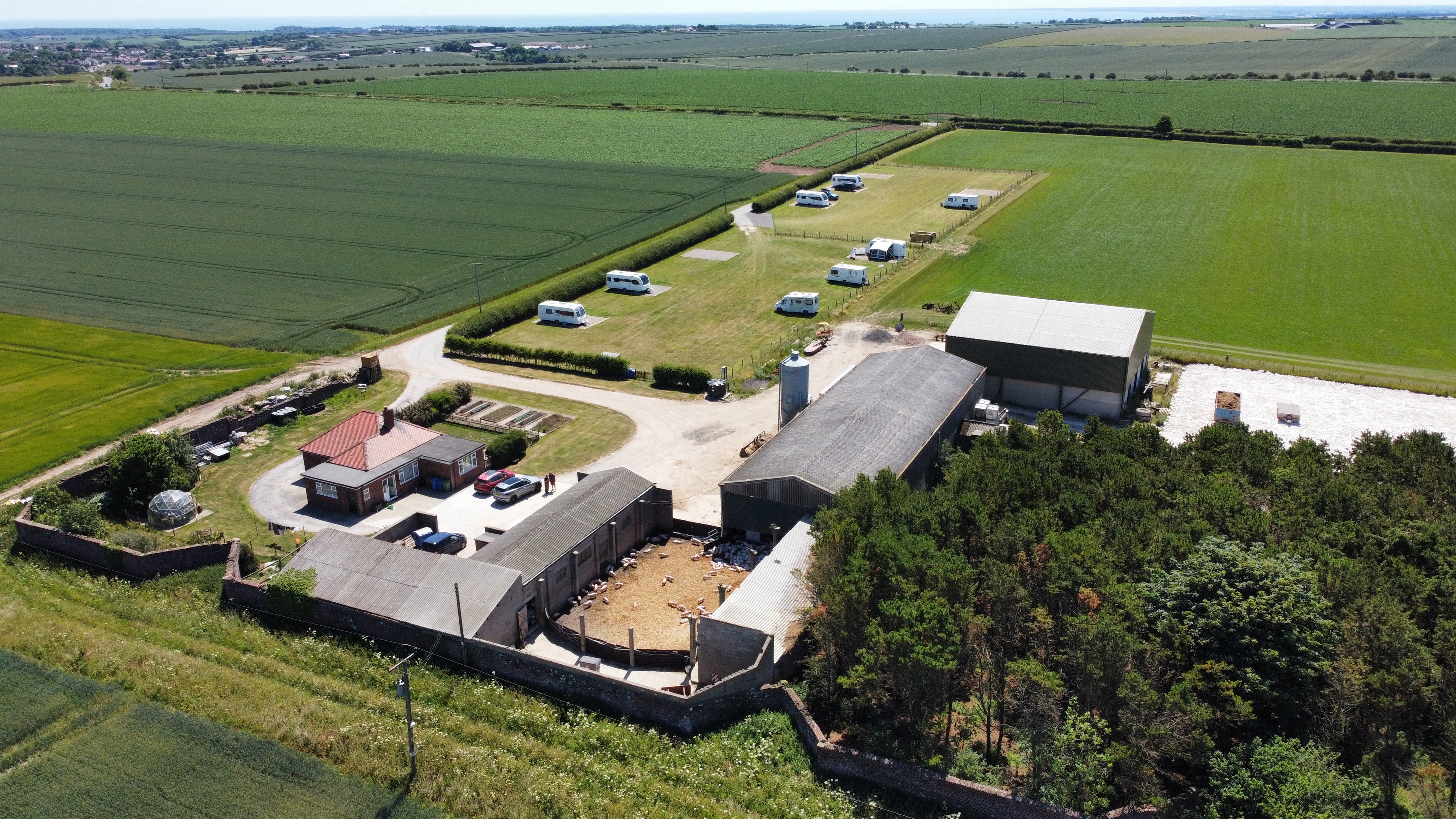 Aerial view of Bungalow Farm, with the farmhouse, barns and caravan pitches set among open fields