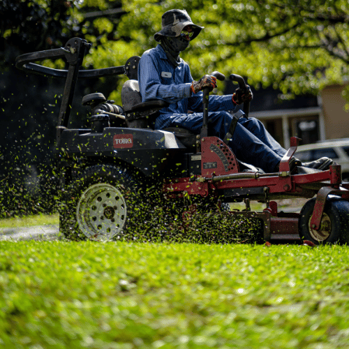Professional lawn mower cutting fresh grass