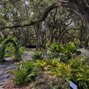 wedding reception venue near me