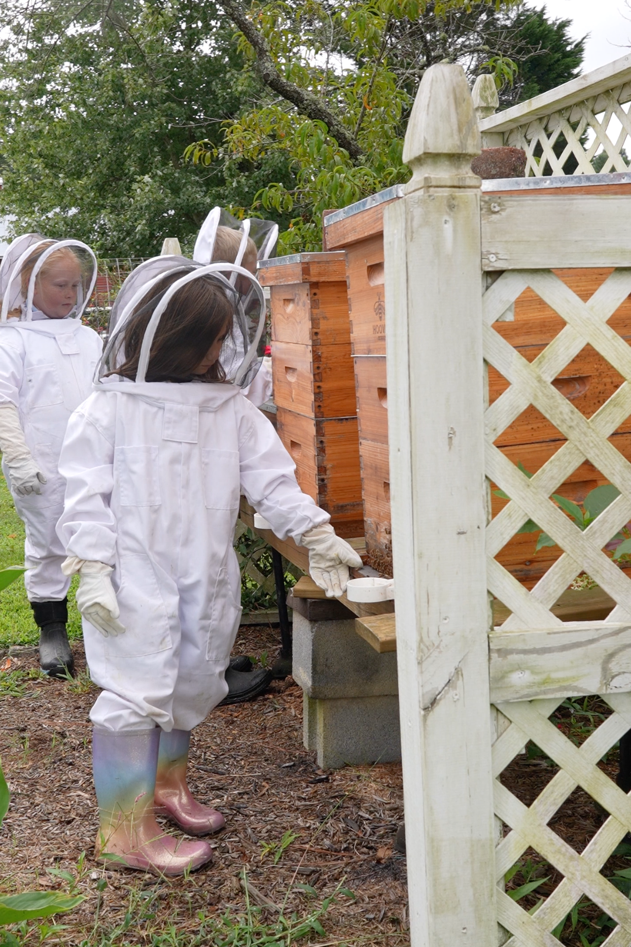 Students wearing beesuits study beehives