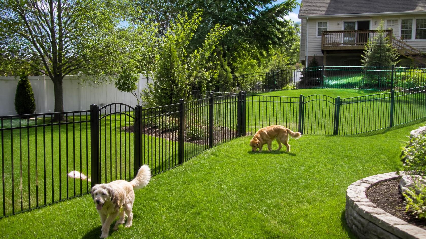 Pet-friendly fencing around a home in South Beloit, IL with attention to fence height, backyard privacy, secure gates, and safe outdoor space.