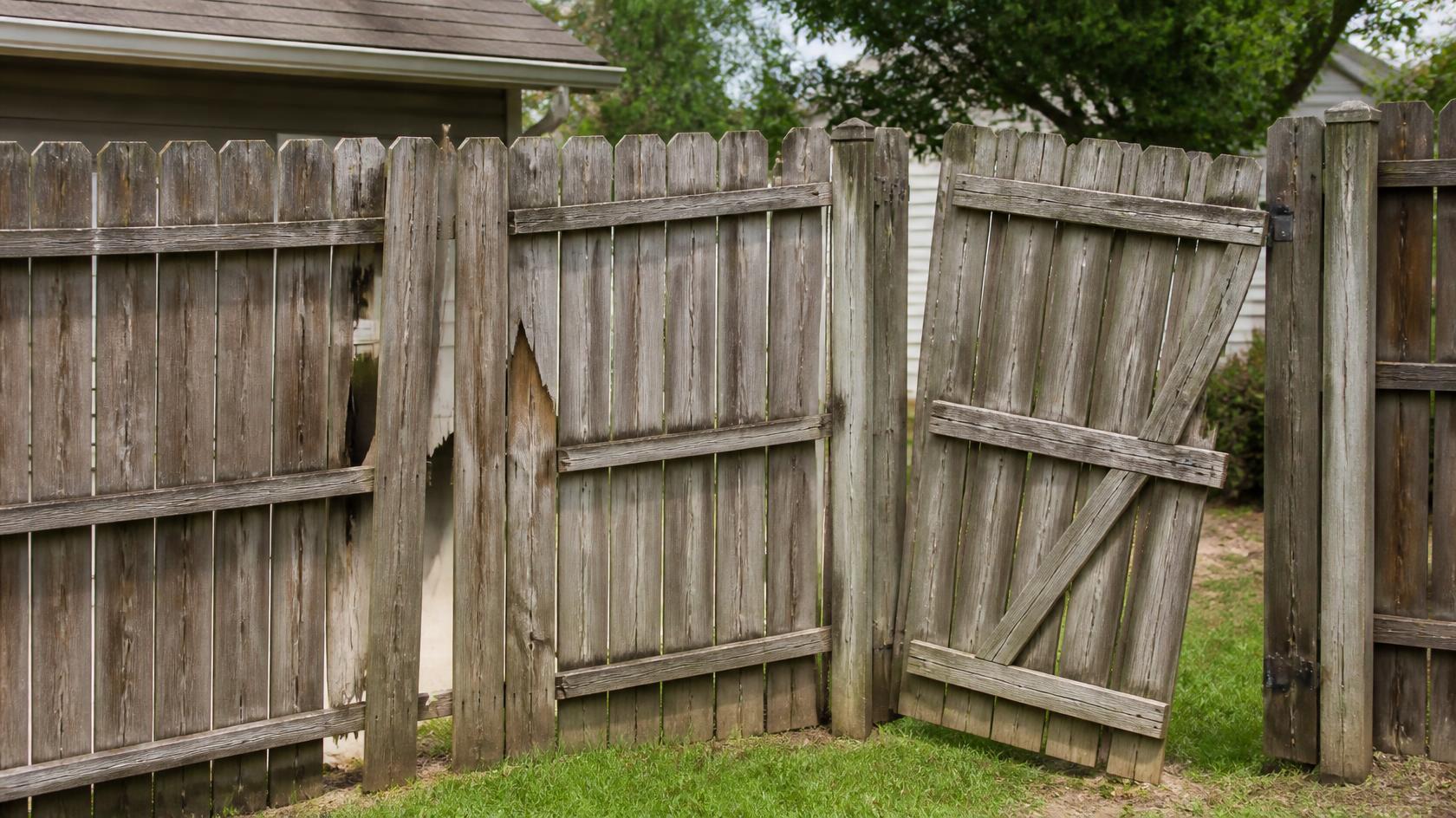 Fence in Davis Junction, IL being inspected for cracked boards, loose panels, damaged gates, and other repair problems.