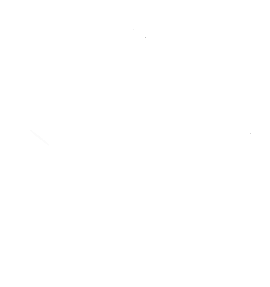 Pioneer Diesel