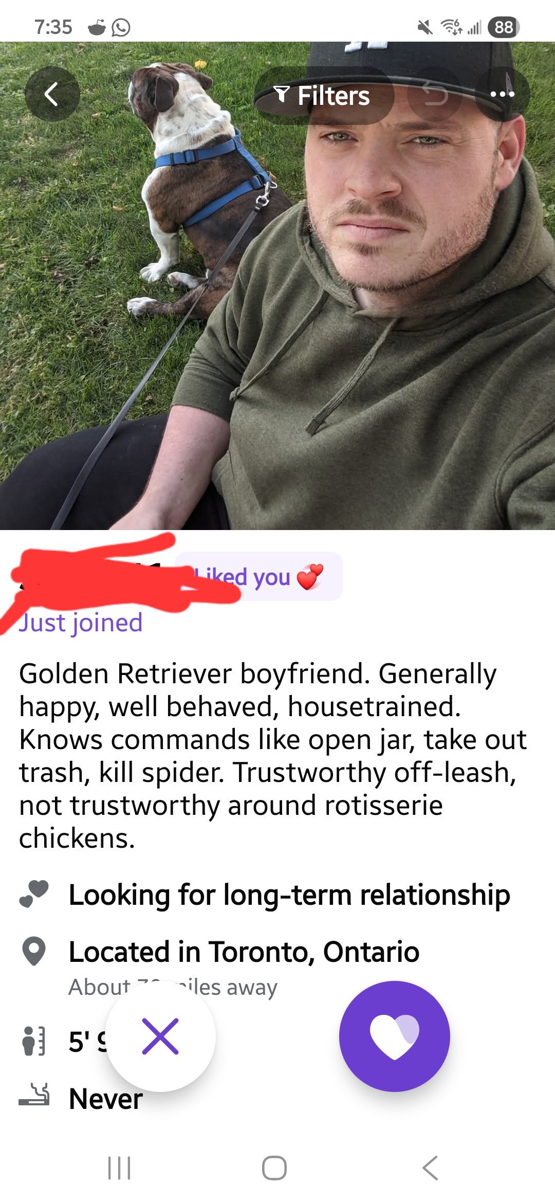 “Golden Retriever boyfriend. Generally happy, well behaved, housetrained. Knows commands like open jar, take out trash, kill spider. Trustworthy off-leash, not trustworthy around rotisserie chickens.”