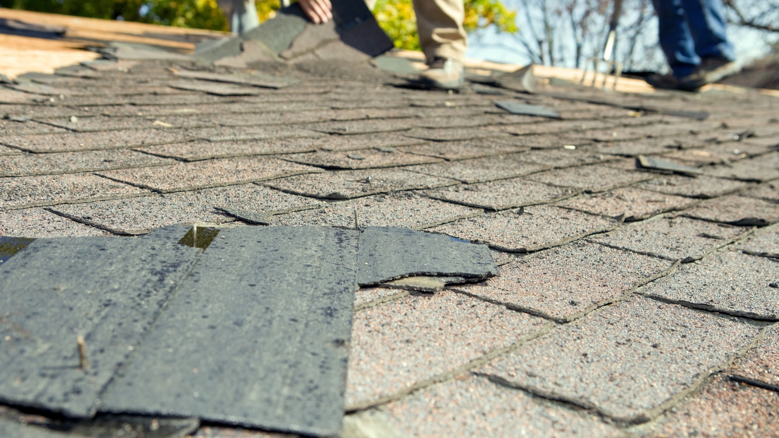 Storm hail damage on roof shingles