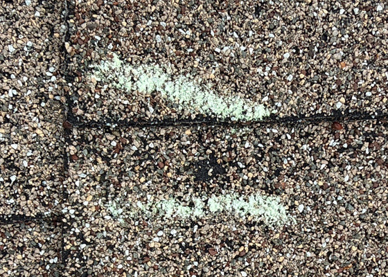 Hail damage on asphalt shingles