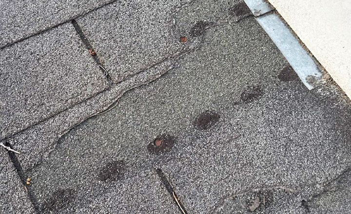 Close-up of roof missing shingles after hailstorm — Minnesota hail damage repair by Honest Exteriors