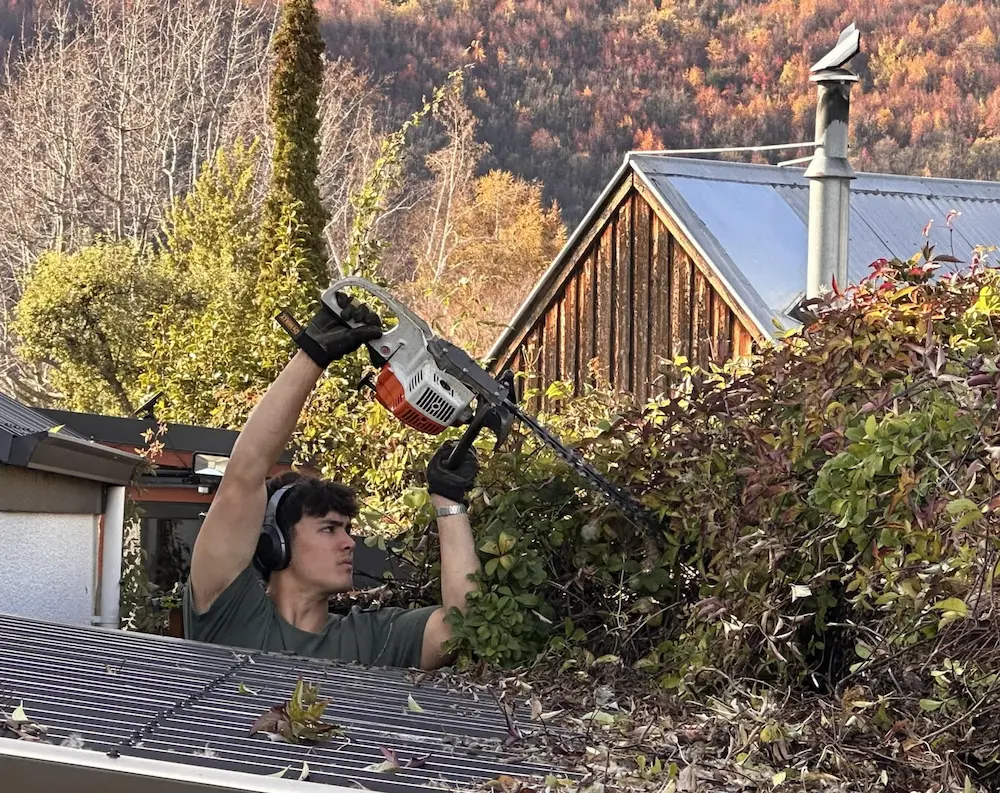 Review Catch Owner Trimming Hedge