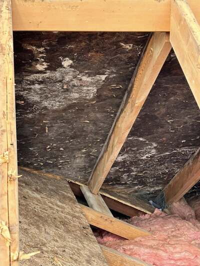 {{ custom_values.service_2 }} in {{custom_values.area_2})