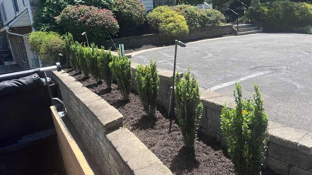 Landscape bed maintenance