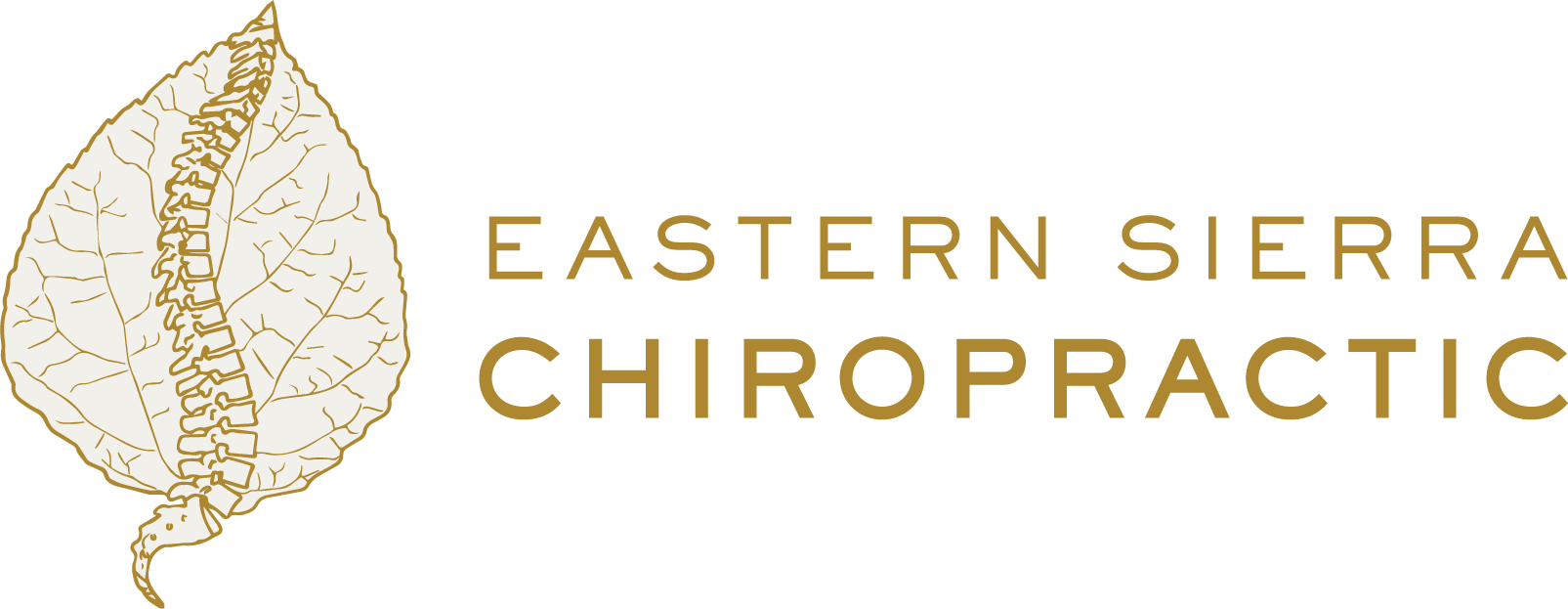 Eastern Sierra Chiropractic | Holistic Chiropractor in Bishop, CA