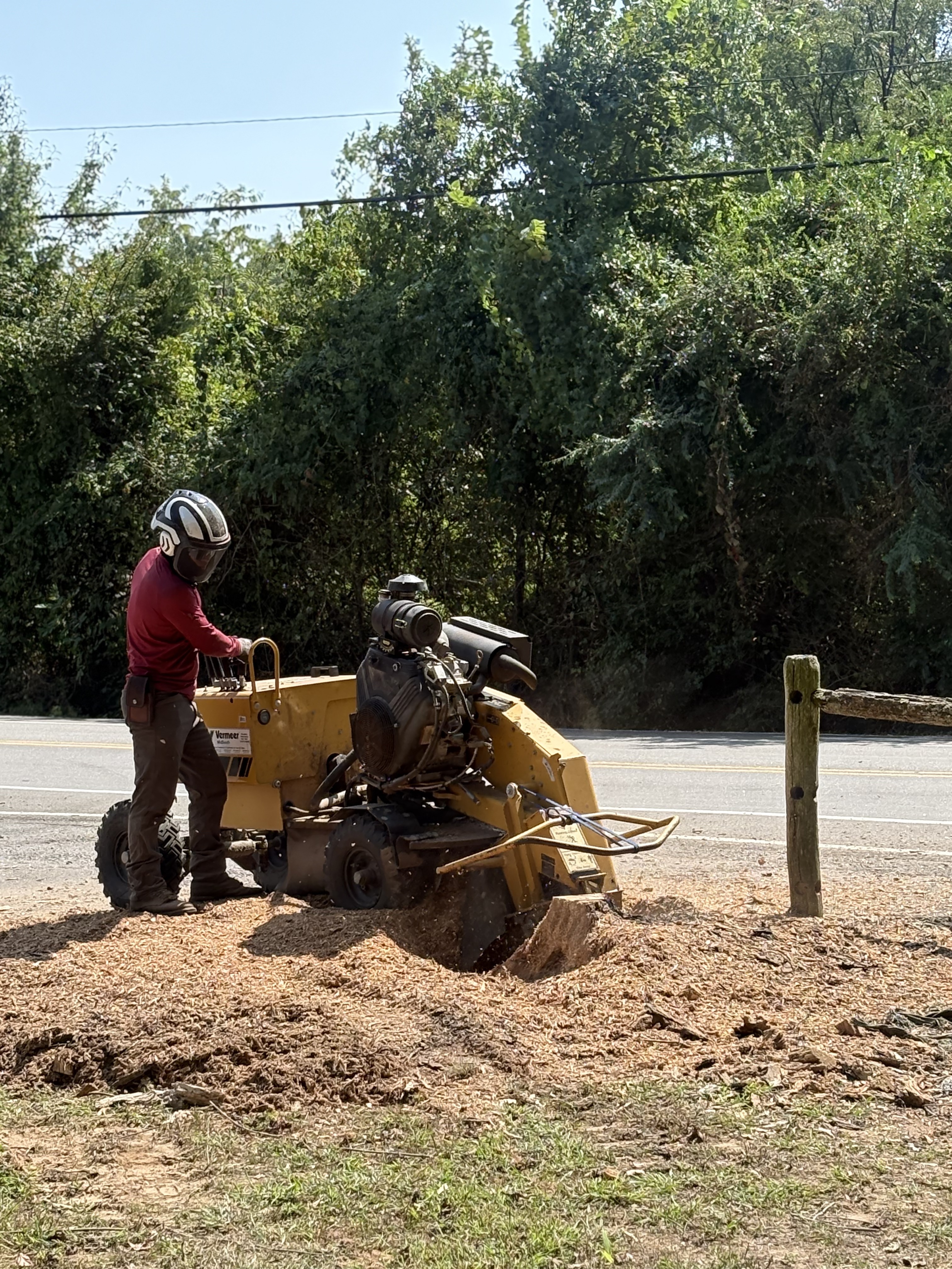 Property cleanup project