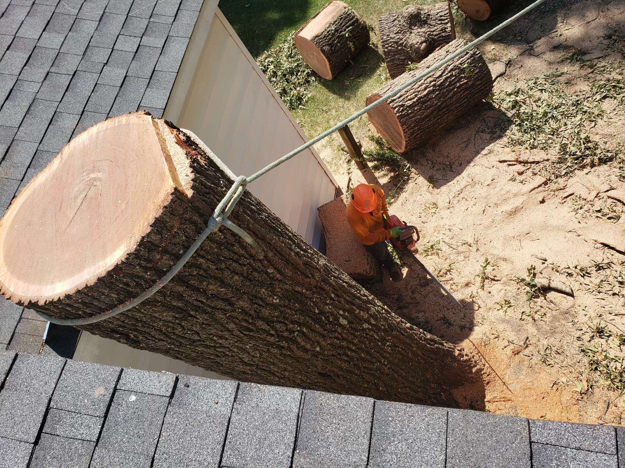 Construction debris removal