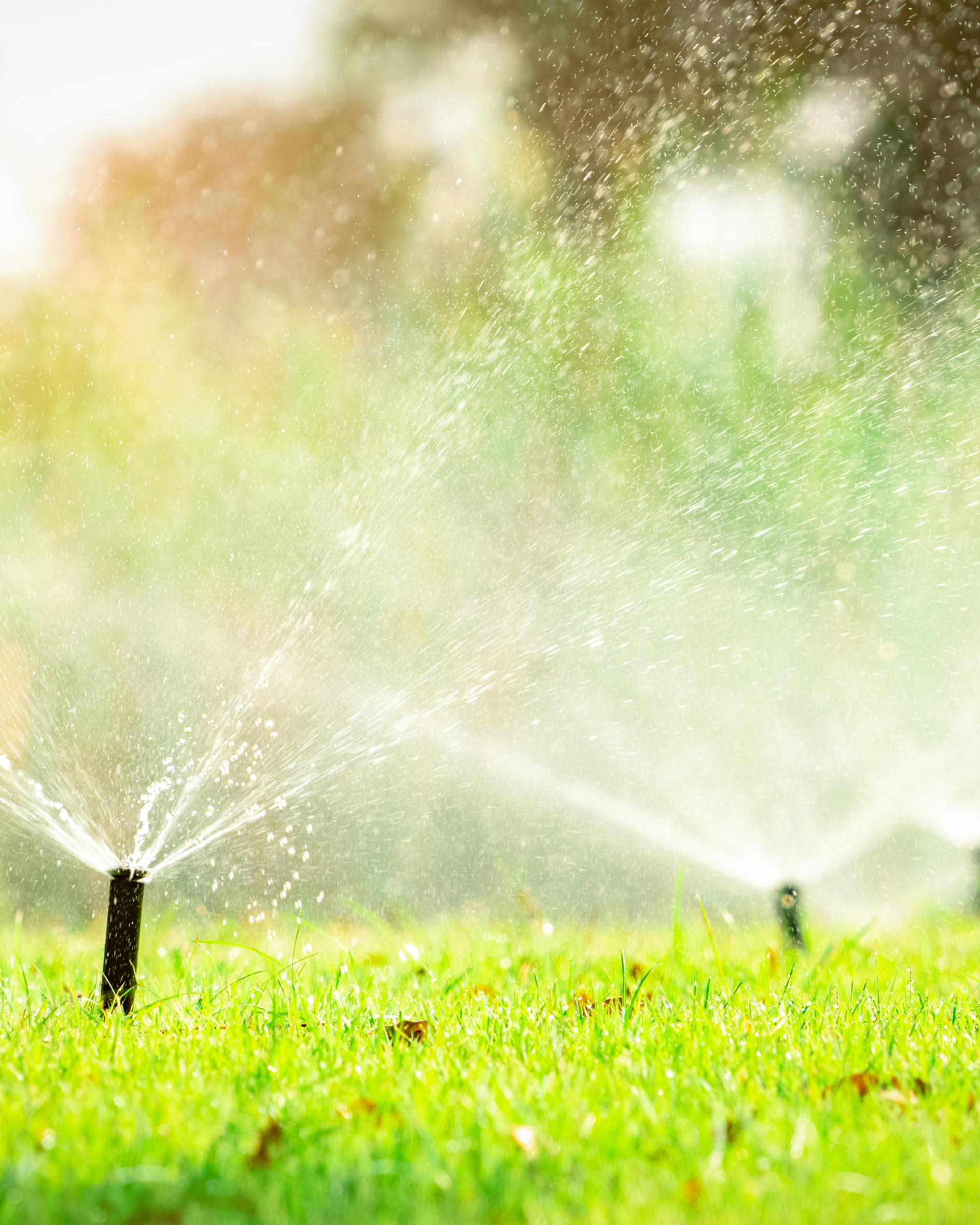 Irrigation sprinklers watering a green Florida lawn