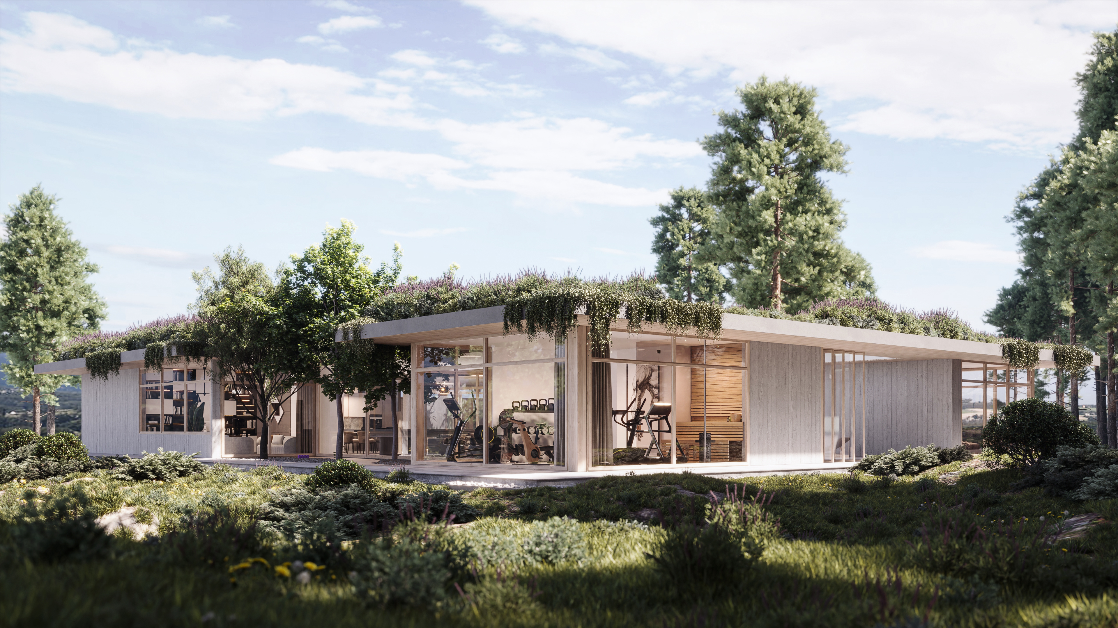 Takkti luxury forest villa exterior approach, luxury forest villa rendering Europe