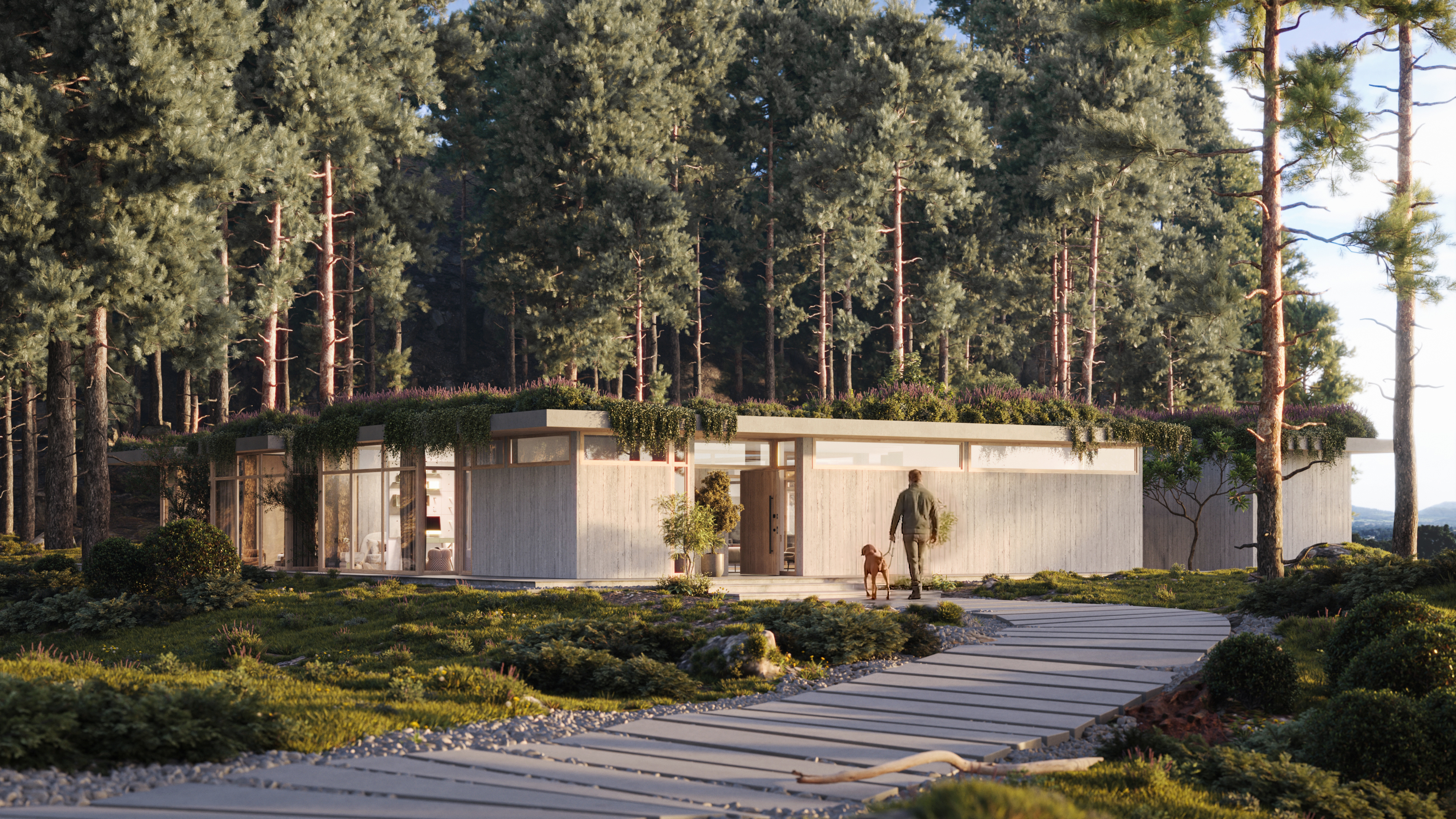 Takkti luxury forest villa approach view against woodland &mdash; luxury forest villa rendering Europe