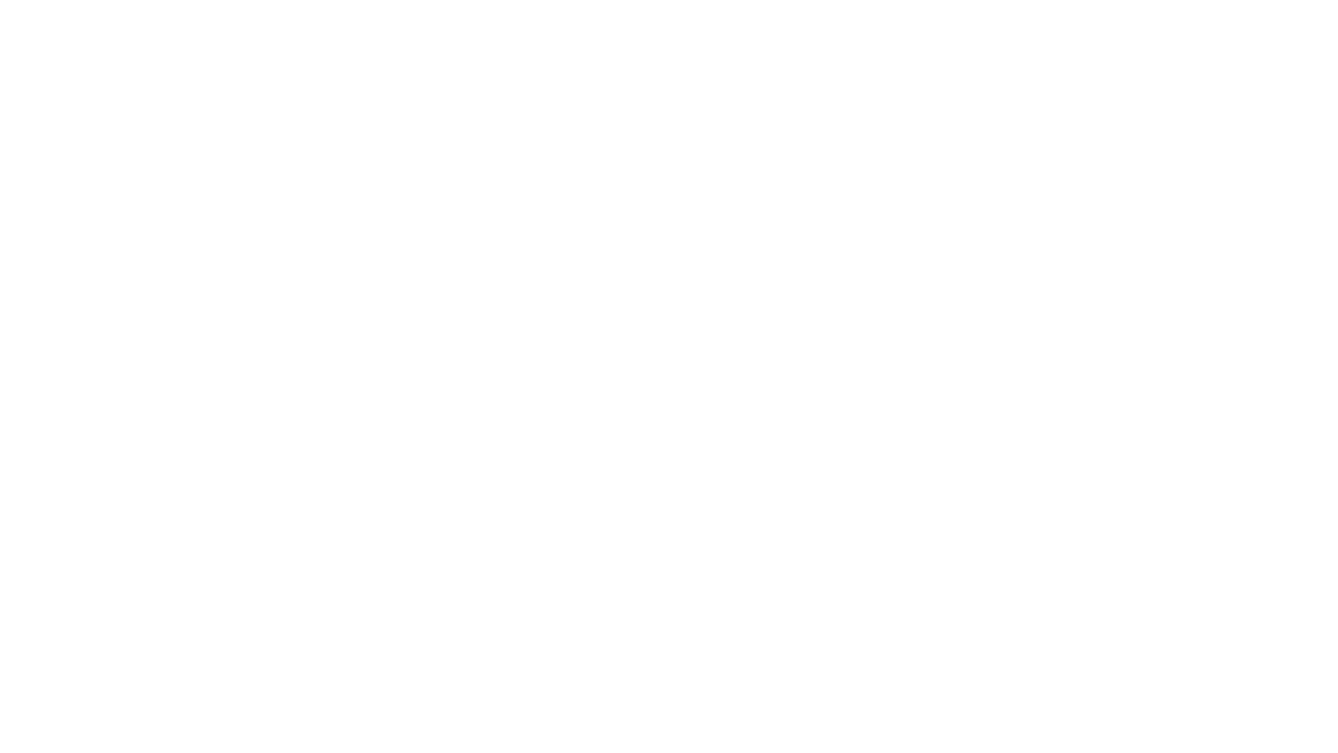 Steady Horse Logo