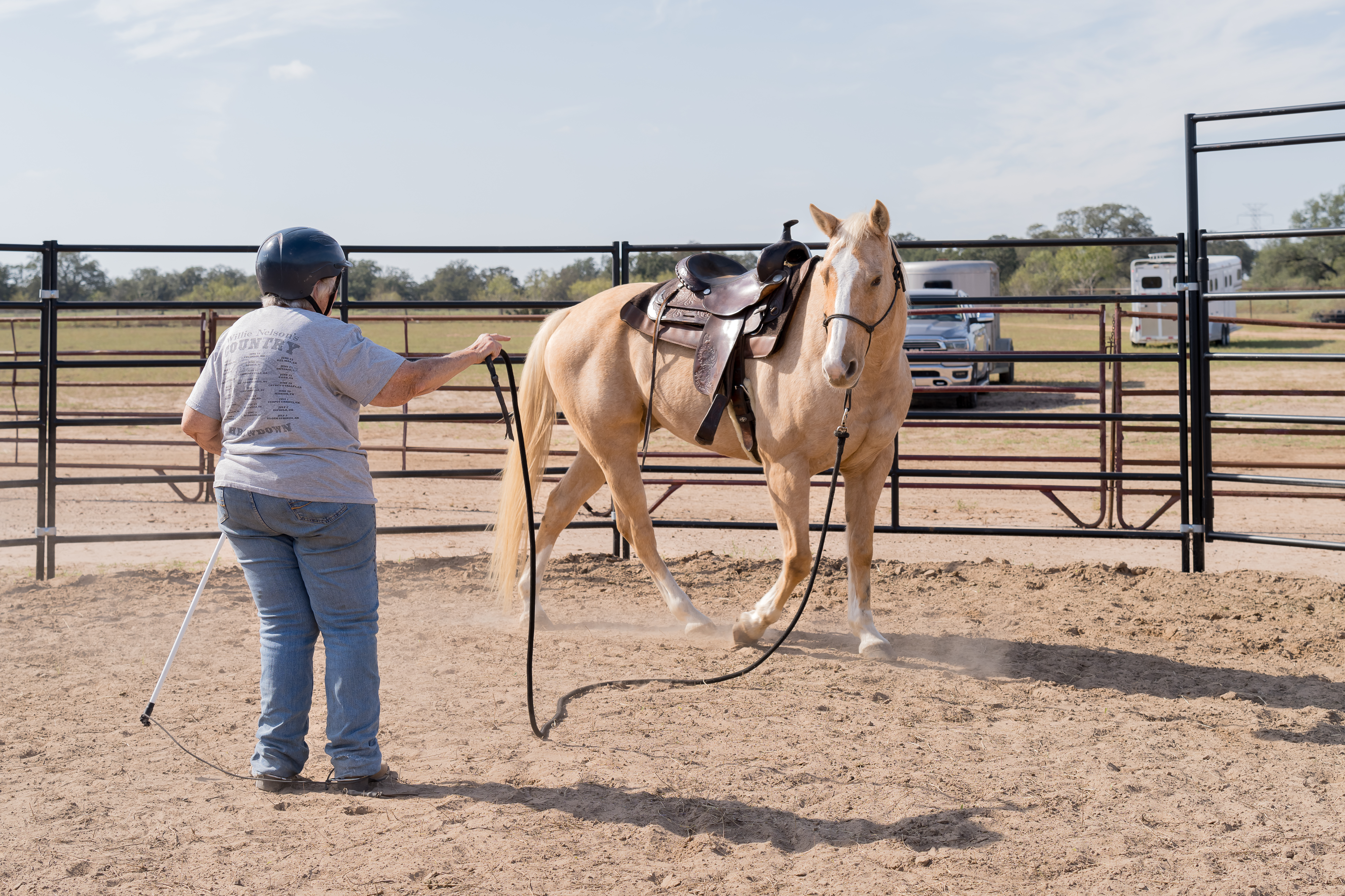 Horse working calmly on lead rope