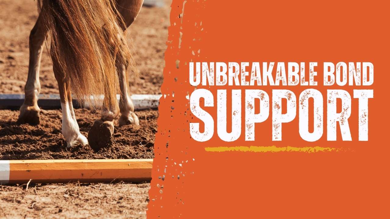 Unbreakable Bond Support