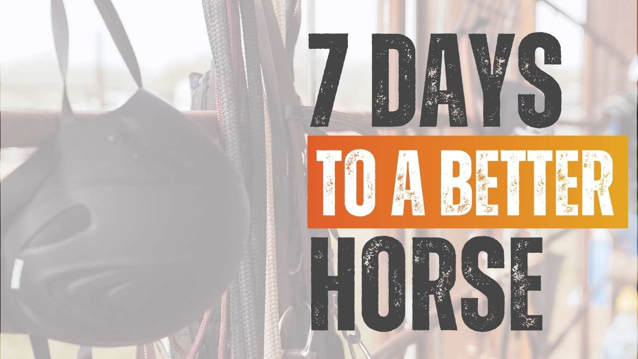 7 Days to a Better Horse