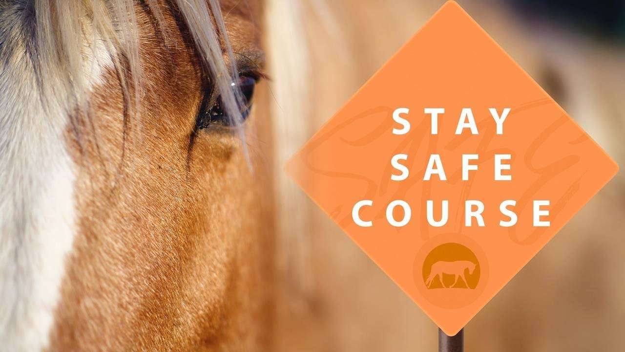 Stay Safe Course