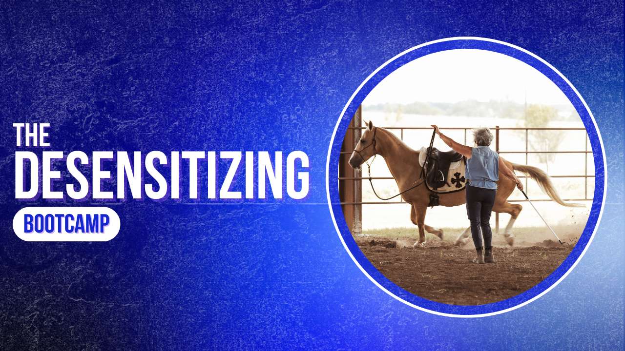 Desensitizing Bootcamp