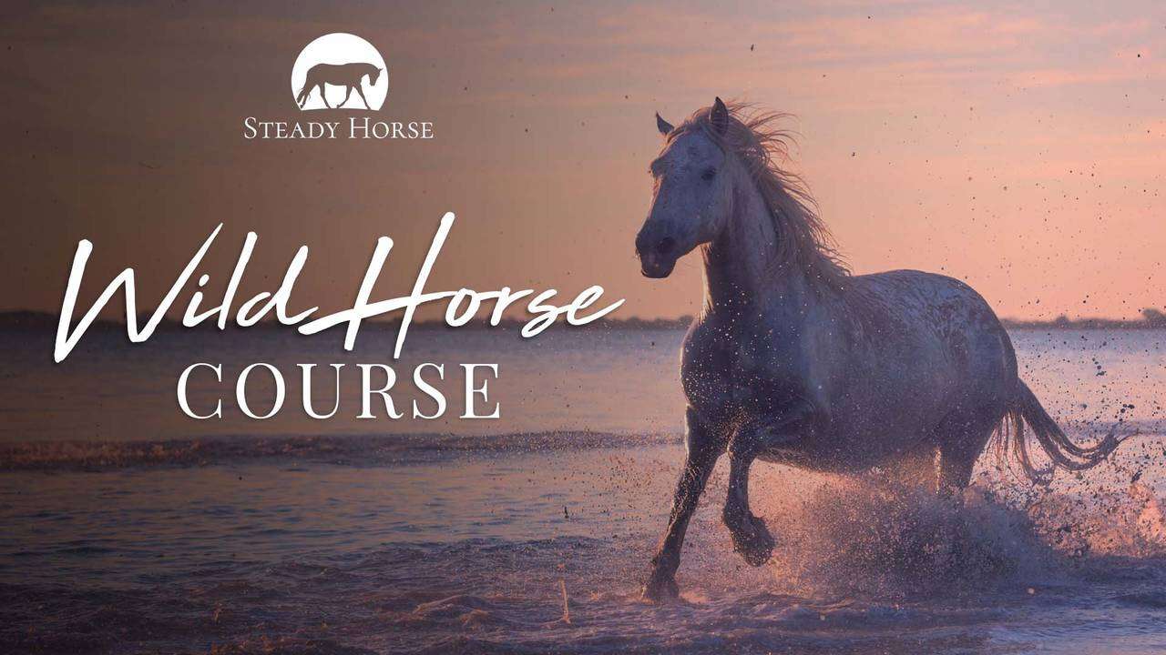 Wild Horse Course