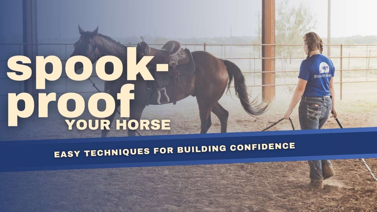 Spook Proof Your Horse
