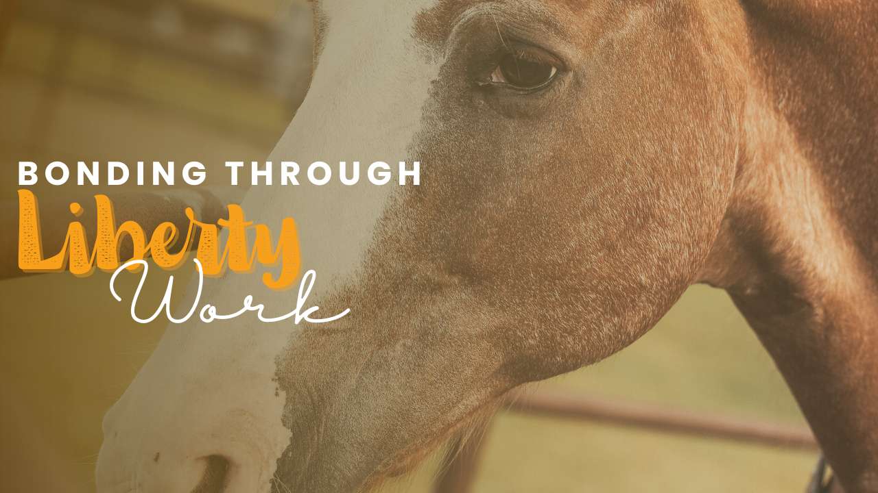 Bonding Through Liberty Work