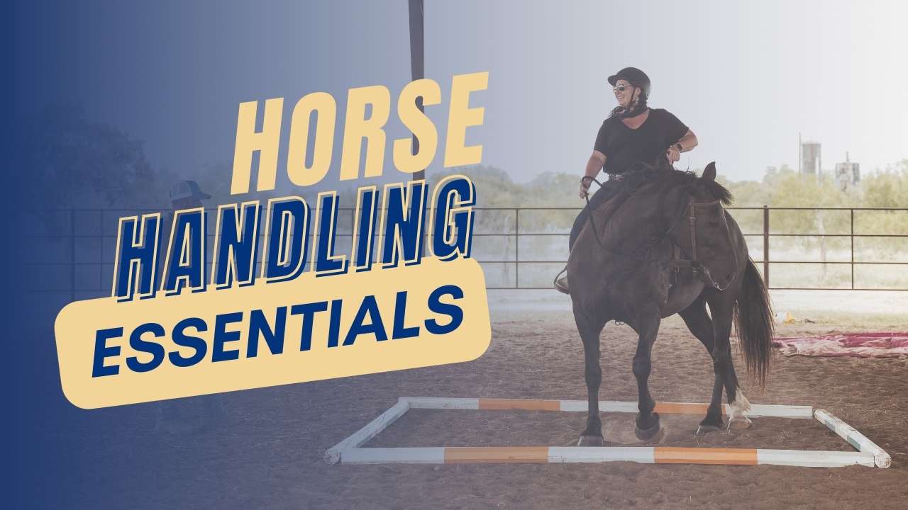 Horse Handling Essentials