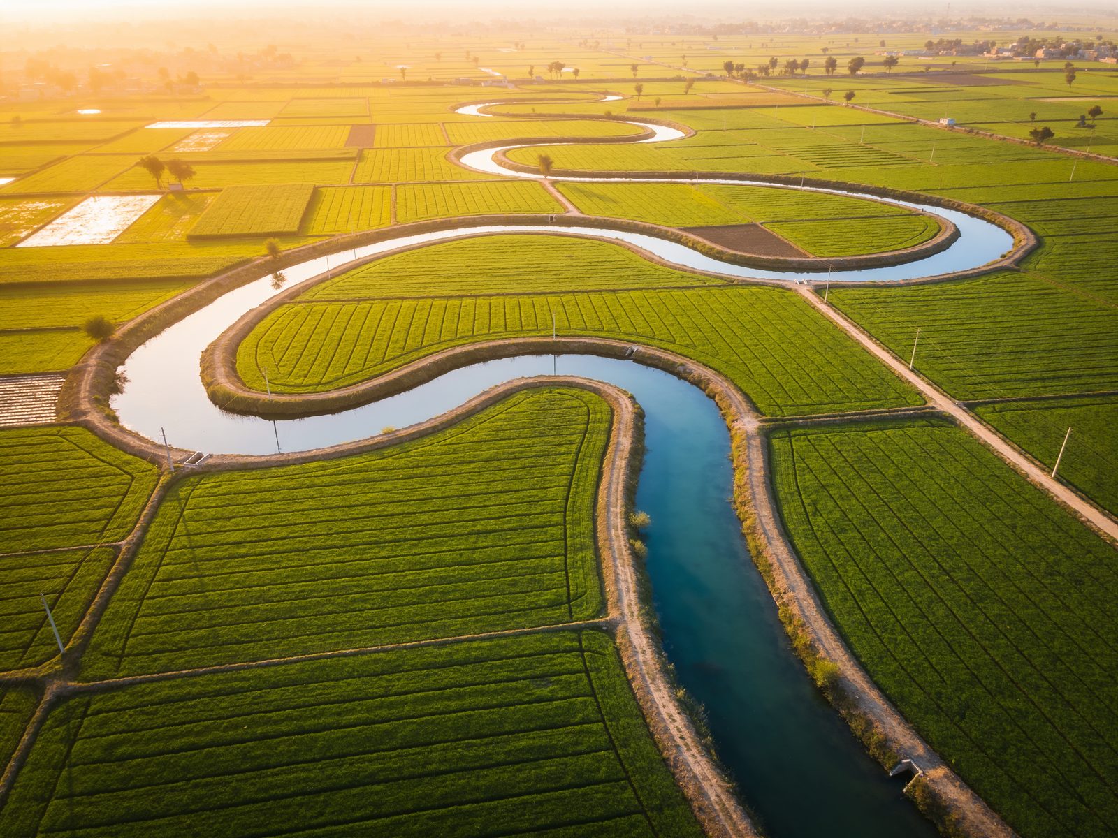 Canal-fed green fields of Punjab from above