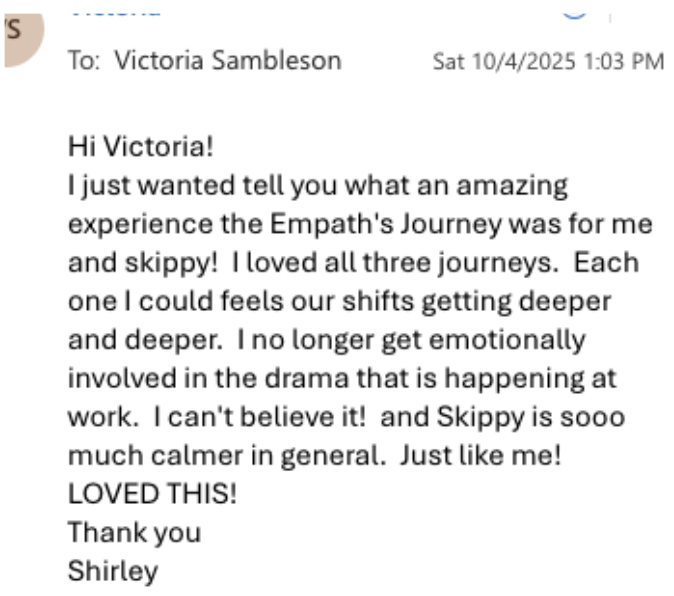 Message from a guardian about her cat after all three journeys