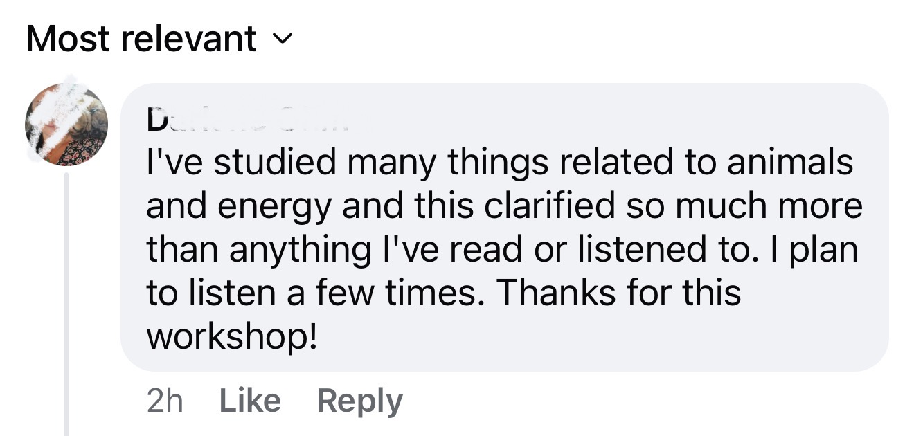 Pet and owner connection