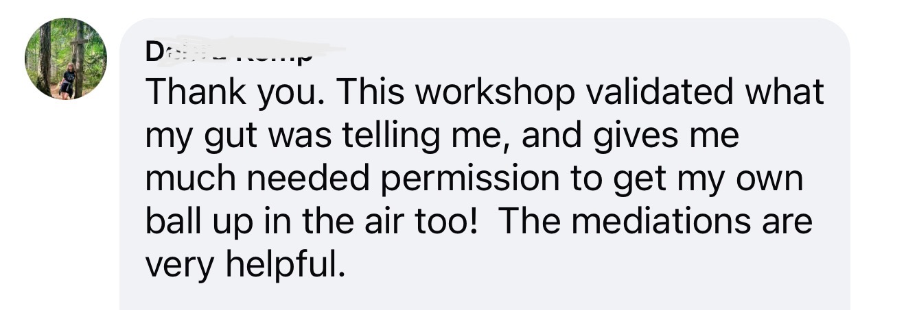 Comment from a workshop attendee: thank you. This workshop validated what my gut was telling me, and gives me much needed permission to get my own ball up in the air too. The meditations are very helpful.