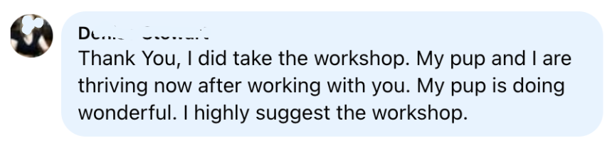 Comment from a workshop attendee: thank you, I did take the workshop. My pup and I are thriving now after working with you. My pup is doing wonderful. I highly suggest the workshop.