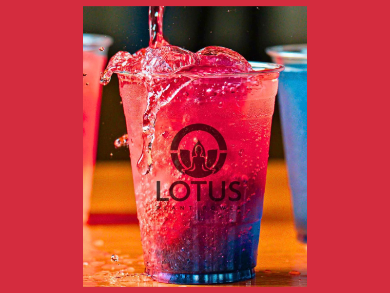 Lotus