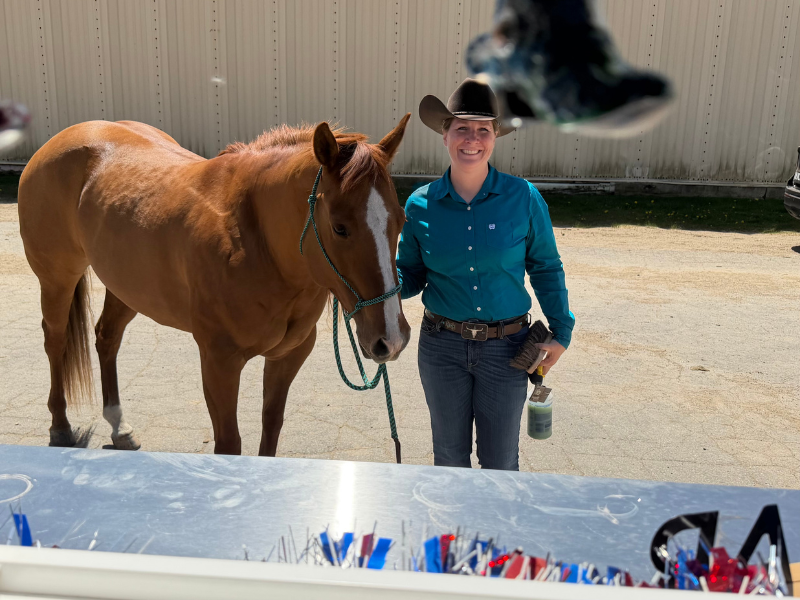 Horse 2