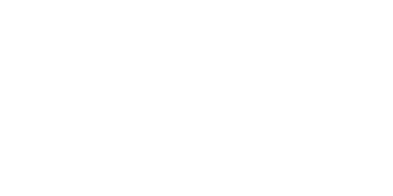 CGX Virtual Solutions