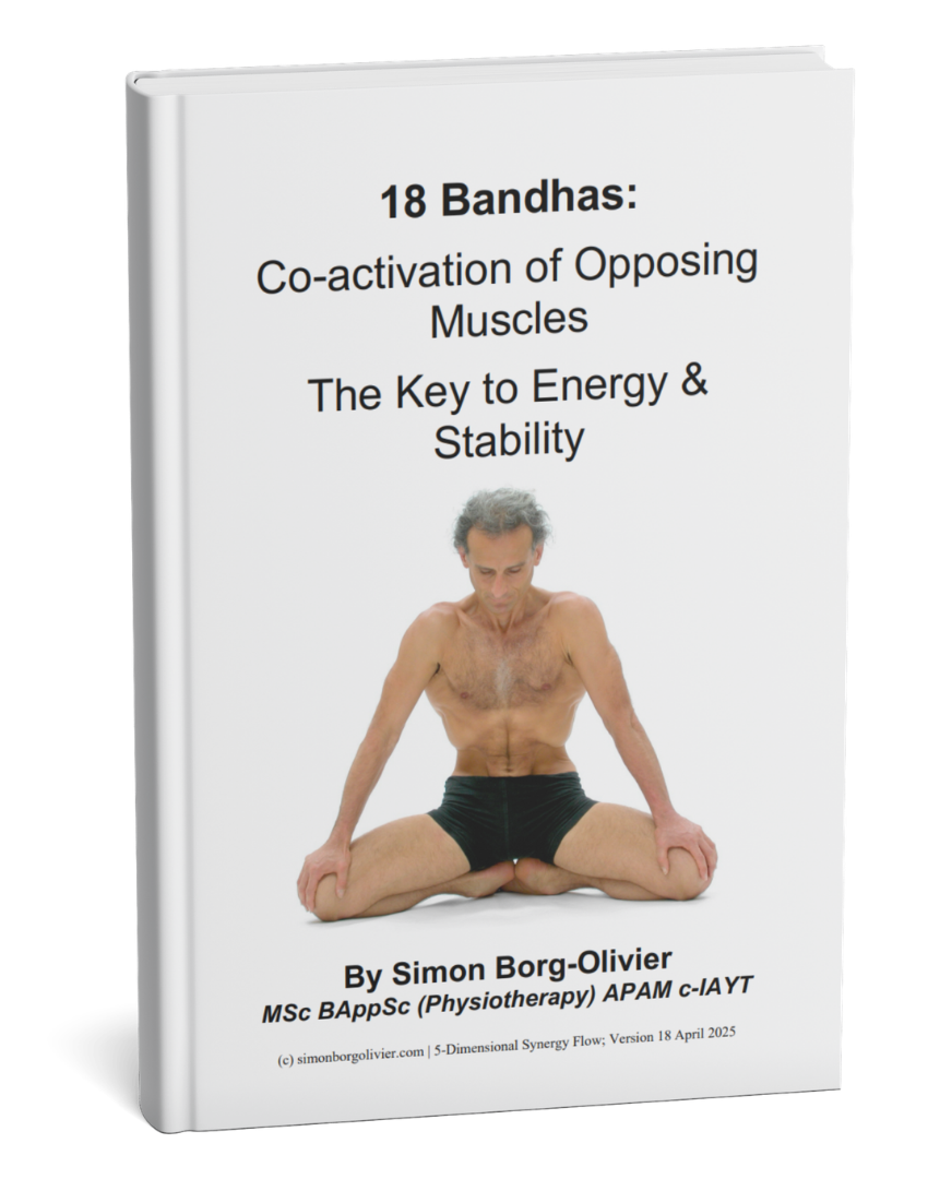 Bandha: The Key to Energy and Stability eBook