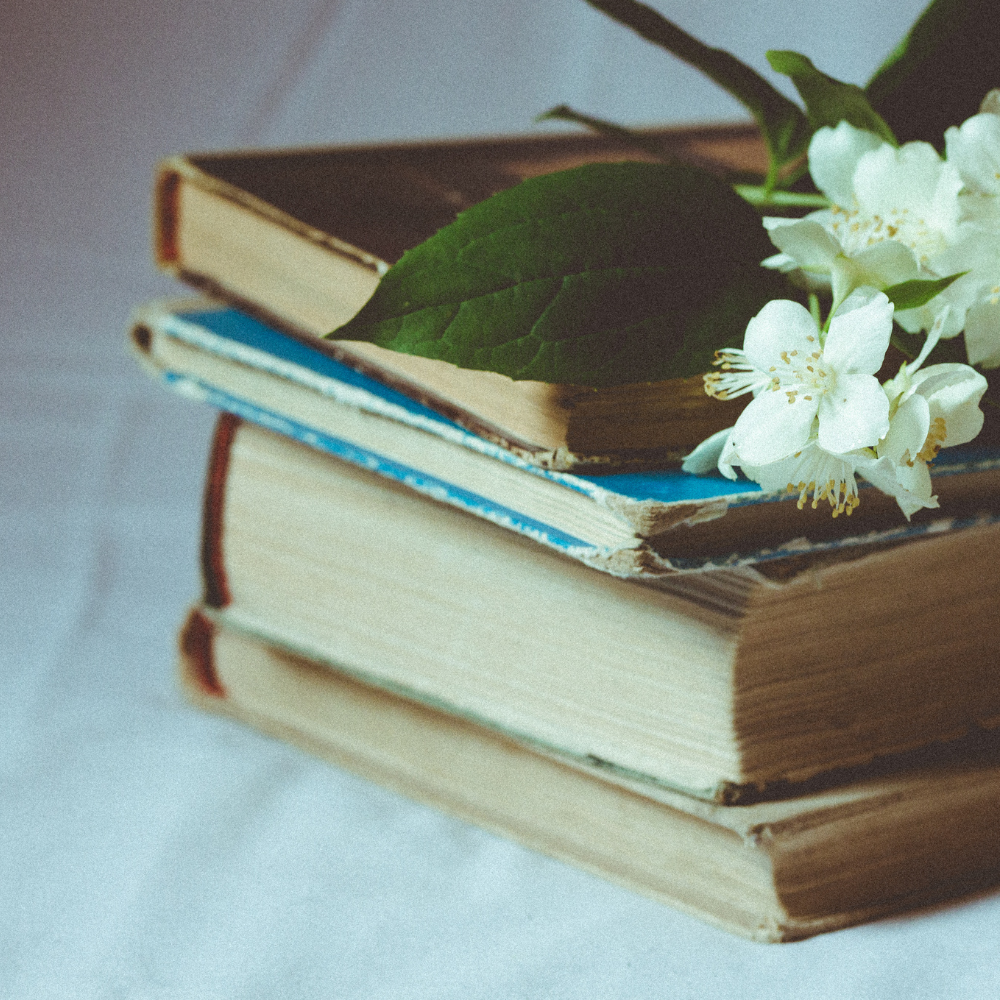 Neatly stacked labeled moving boxes in a sunlit garage