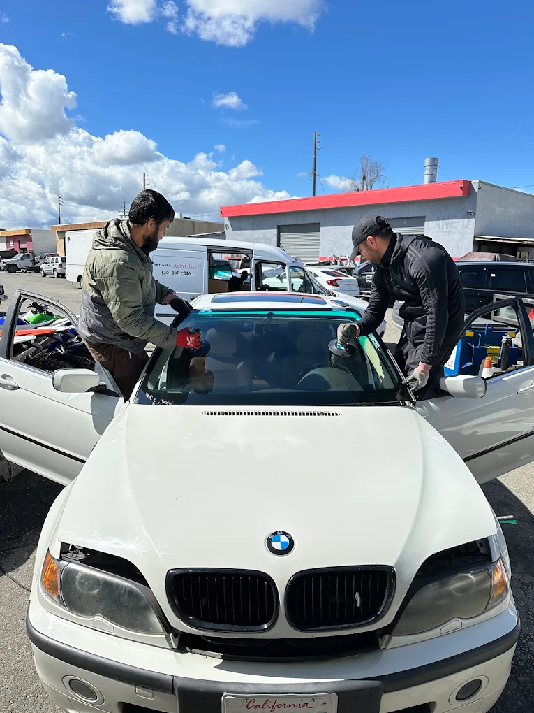 Delta Auto Glass Project