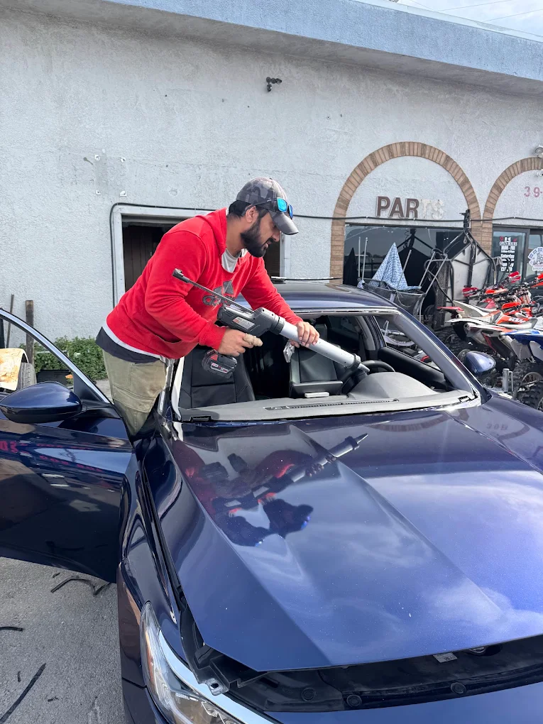 Delta Auto Glass Project