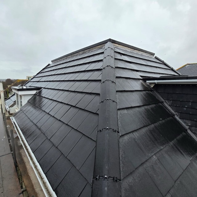 Recent roof project