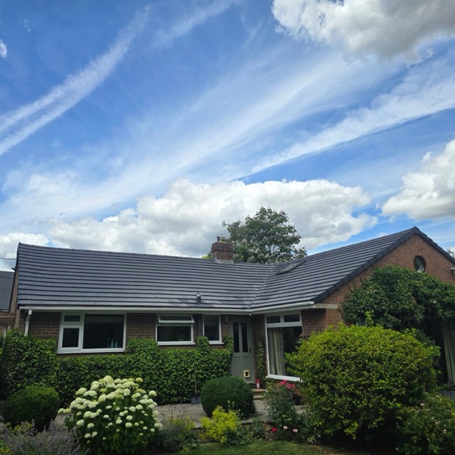 Recent roof project