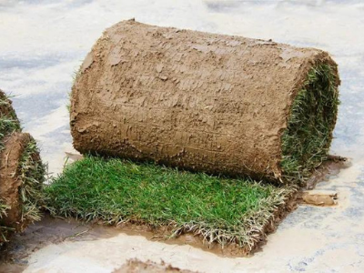 Sod Irrigation System Installations