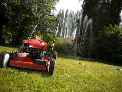 Lawn, Yard Maintenance